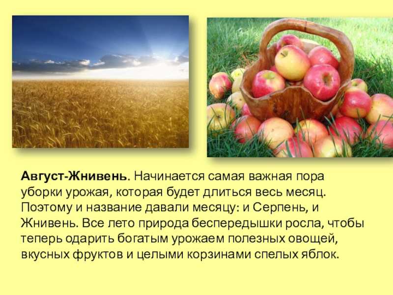 Значение урожая (что это такое, понятие и определение) - факты - 2023
