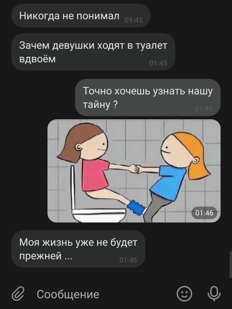 Почему девушки ходят в туалет вдвоем: причины и объяснения