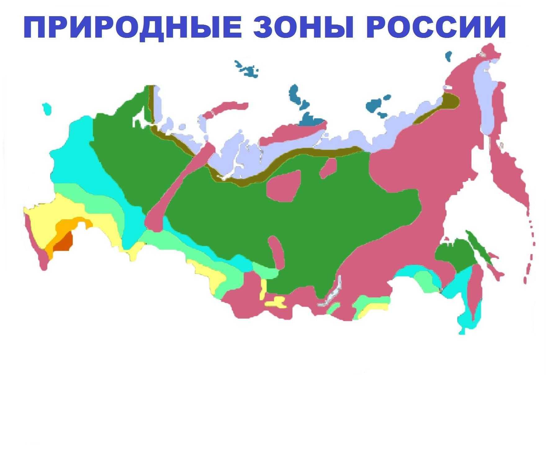 Тундра - природная зона, почвы, климат, животные и растения