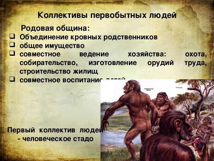 Первобытное человеческое стадо: суть, особенности и значение