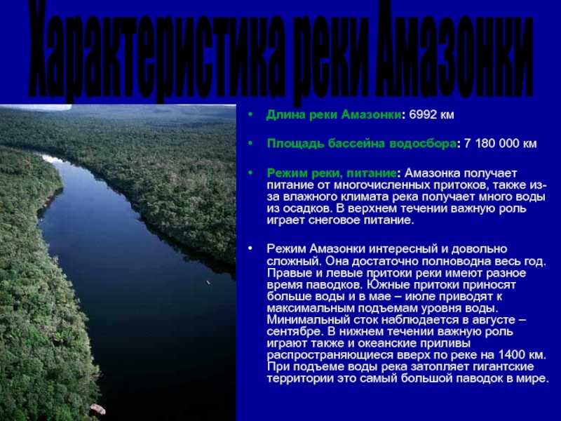 Река амазонка: где находится, фото, характеристика