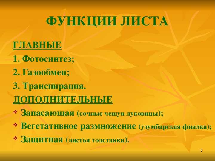 Листопад: что это такое, причины, последовательность процессов, значение в жизни растений