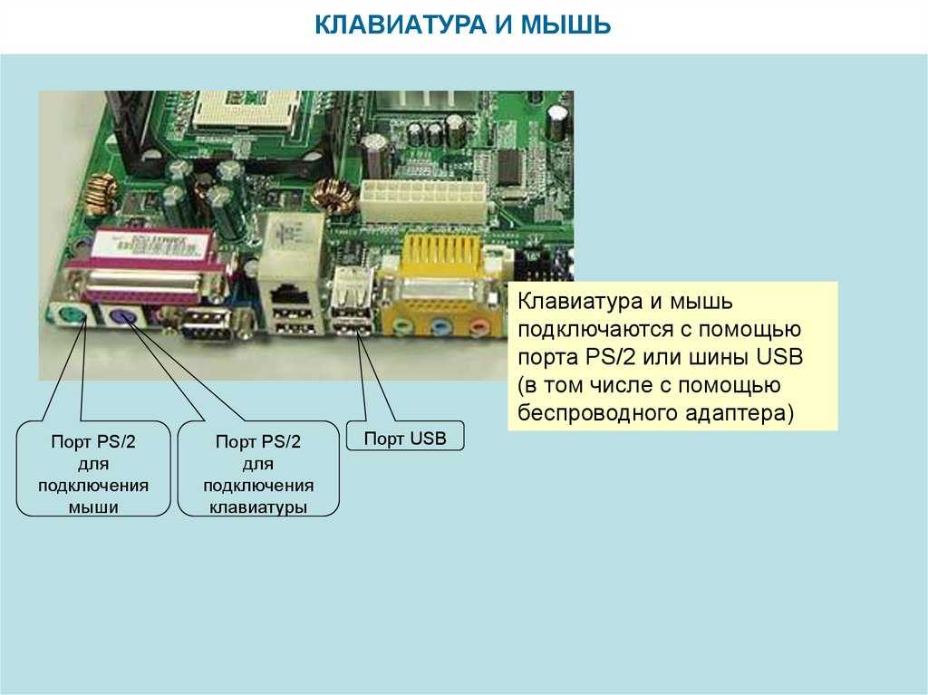 Что такое порты персонального компьютера? и какие они бывают? - computermaker.info