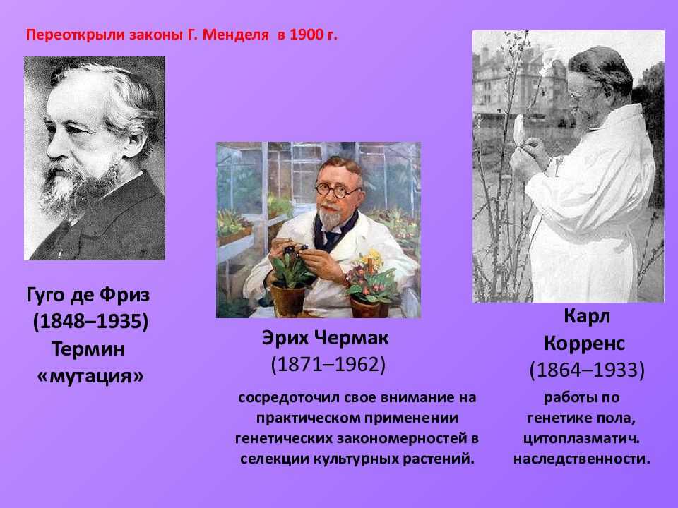 Краткая история развития генетики как науки