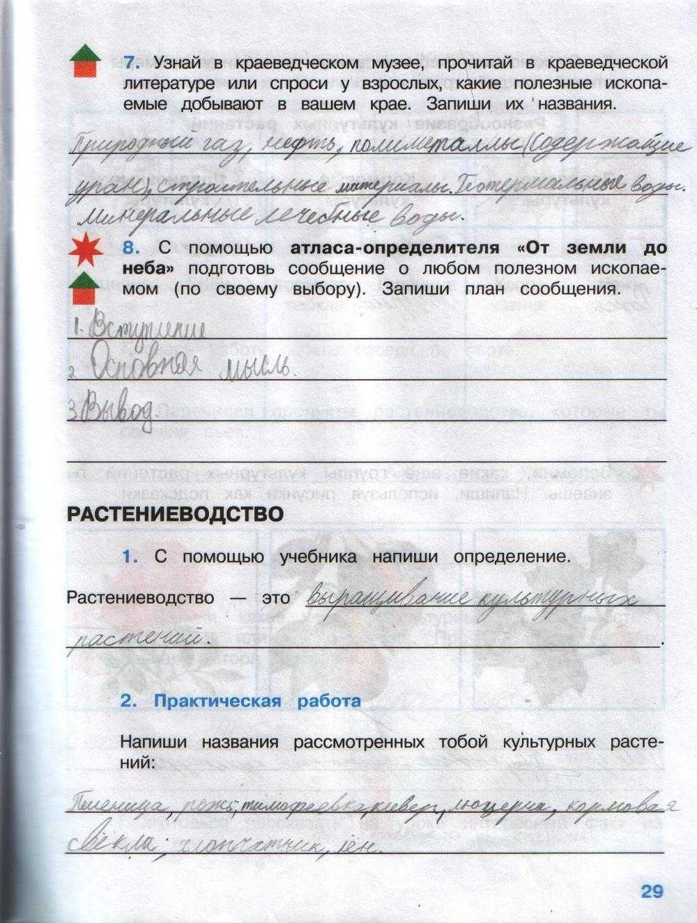 Доклад про камыши (рогоз) сообщение 3 класс