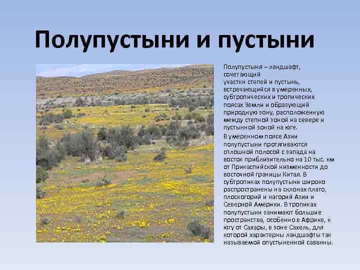 ᐉ растения и животные пустыни россии - zoomanji.ru
