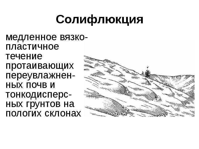 Инфлюэнция – что это такое?