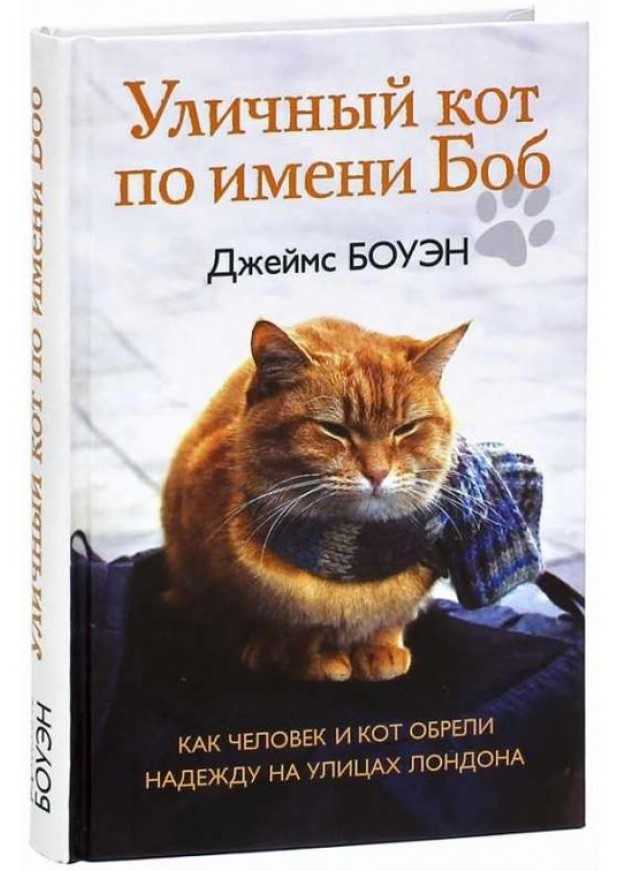Боб необычный кот краткое содержание главные герои. фильм уличный кот по кличке боб смотреть онлайн. электронный читательский дневник