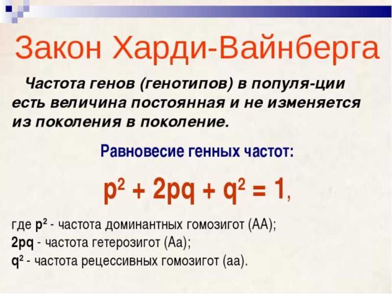 Применение закона харди-вайнберга. уравнение харди-вайнберга в решении генетических задач использование уравнения харди вайнберга позволяет установить