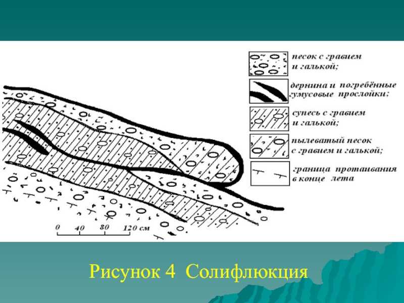 Что такое солифлюкция?