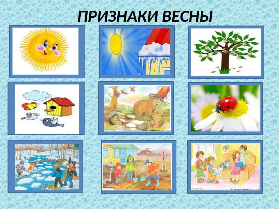 Фенологические наблюдения.