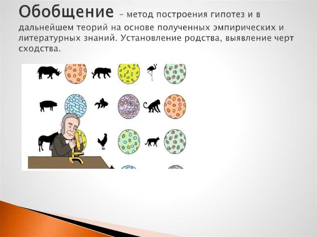 Обобщение