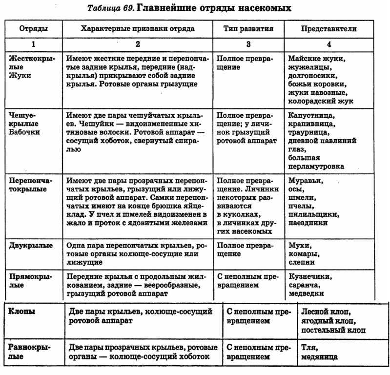 Доклад про насекомых 7 класс биология кратко