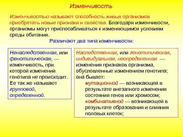 Наследственная изменчивость: виды, примеры и роль в эволюции