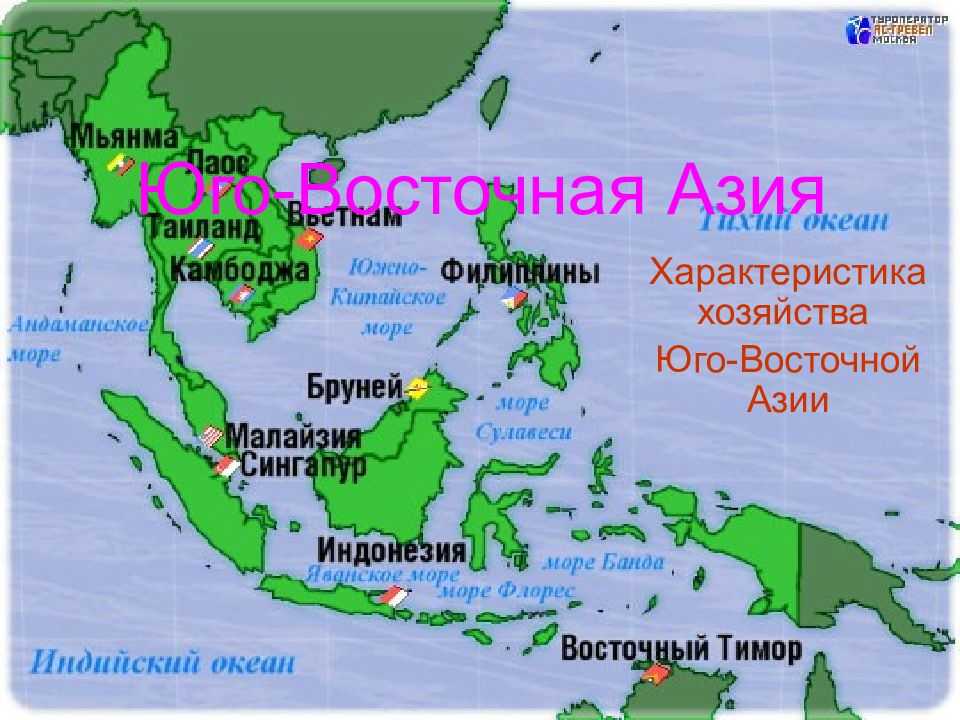 10 класс. география. зарубежная азия. природные ресурсы зарубежной азии. - природные ресурсы зарубежной азии. | курсотека