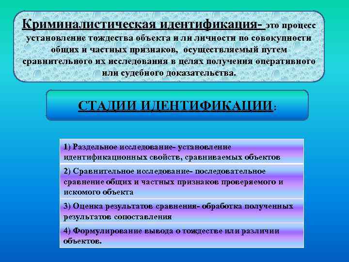 2.4. формы и виды криминалистической идентификации