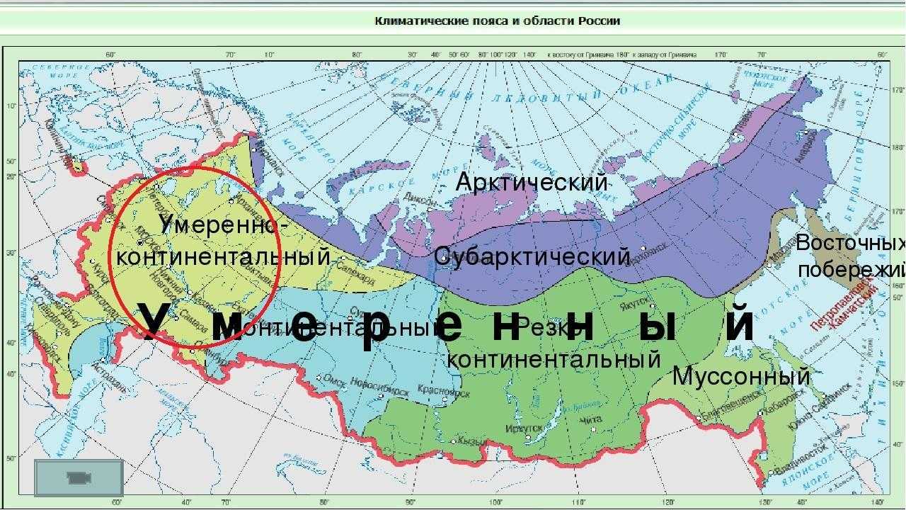 Положение в тепловых поясах и природных зонах. изучение географии россии по природным зонам