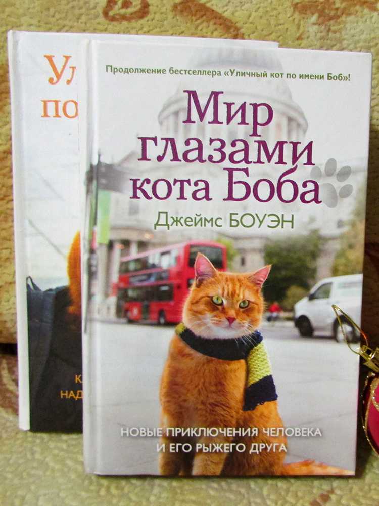 Уличный кот по кличке боб краткое содержание по главам