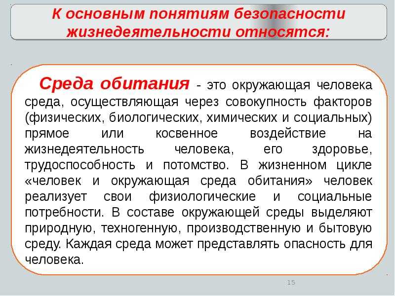 Как связаны экологическая культура и культура безопасности жизнедеятельности?