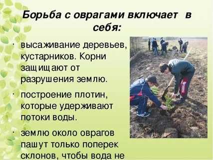 Борьба с оврагами кратко