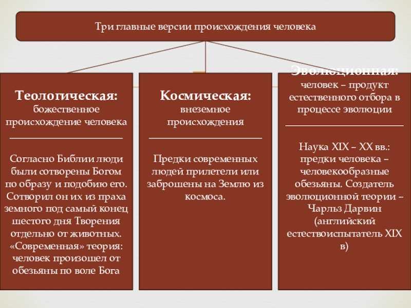 В чем суть теории креационизма