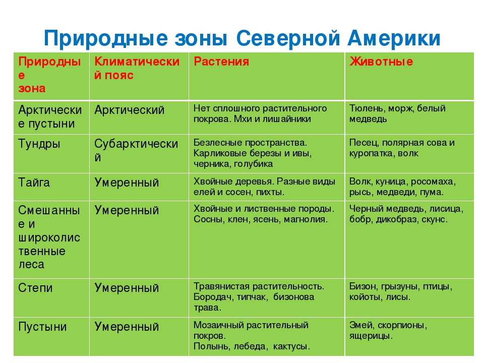 Сравнение черного и белого моря