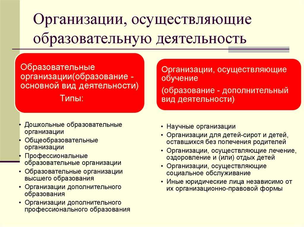 Детская спортивная школа или секция: что выбрать