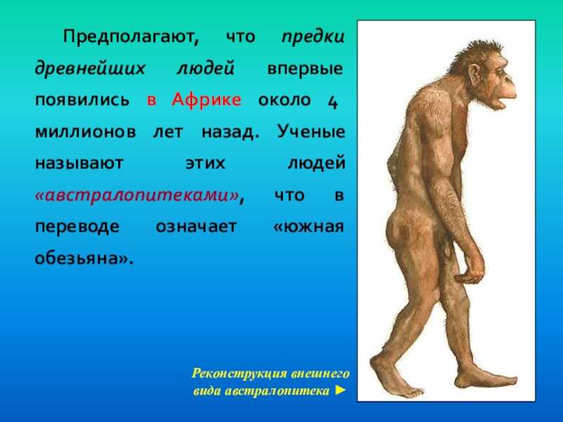 Как древнейшие люди добывали пищу опишите эти занятия 5 класс история кратко