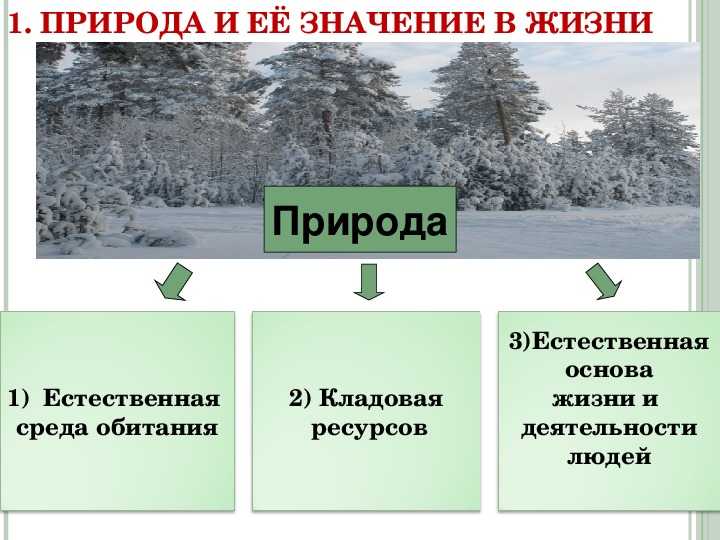 Гдз по обществознанию 8 класс учебник боголюбов - стр 16