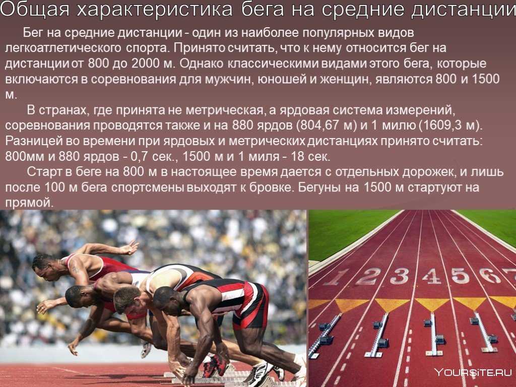 Реферат на тему: бег на средние дистанции