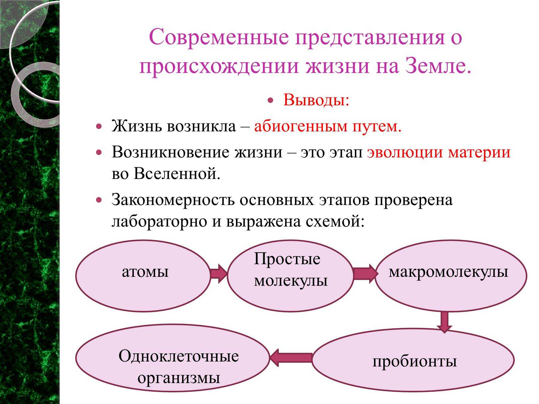 Возникновение жизни на земле: этапы эволюции, теории, гипотезы, правильная последовательность развития, процесс и условия, что необходимо