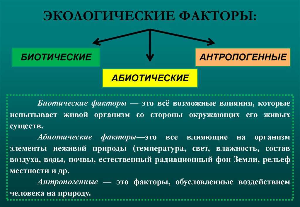 Абиотические факторы среды