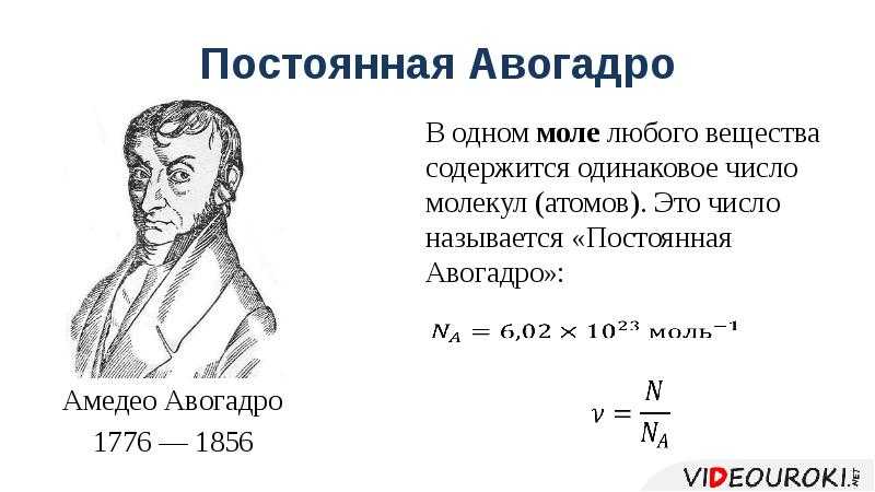 Количество вещества. моль. постоянная авогадро. молярная масса
