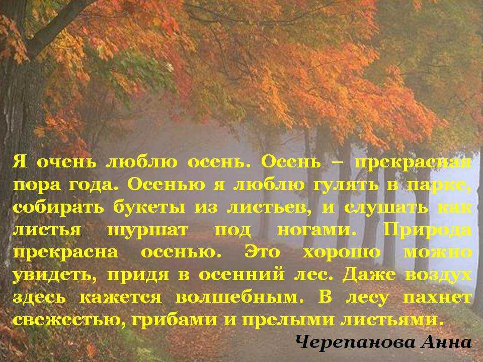 Сочинение "прогулка в лесу" (3, 4, 5, 6, 7 класс) - rumozg
