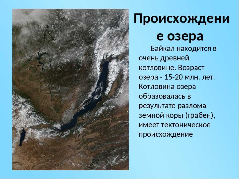 Озеро байкал - описание, географическое положение, глубина, история