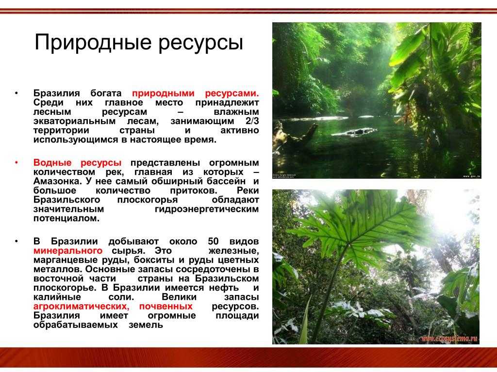 Презентация по географии на тему бразилия(11 класс)  доклад, проект