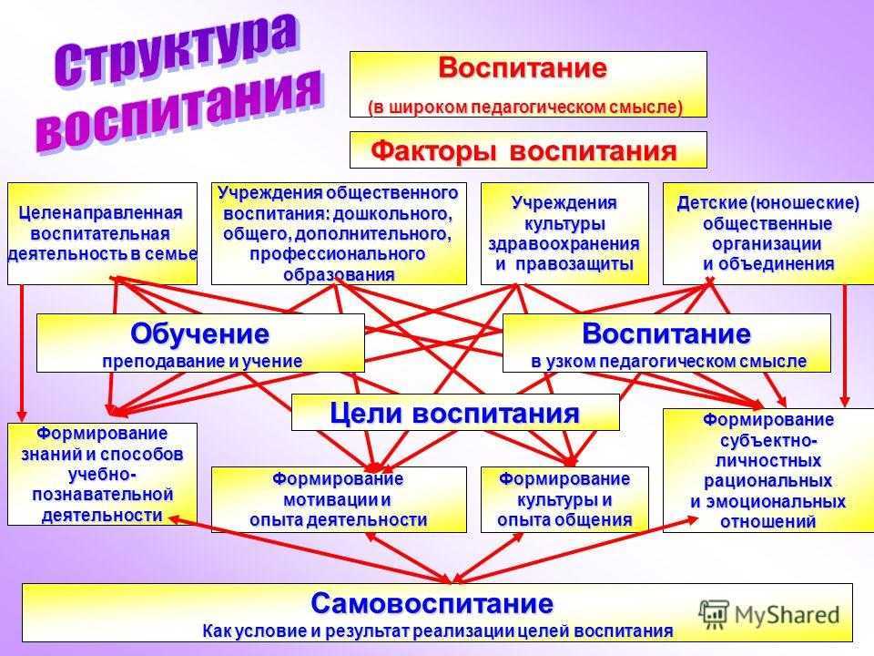 Педагогическая деятельность: разбираемся в видах и функциях