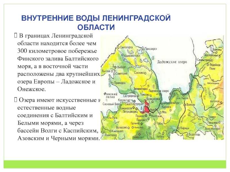 Рельеф ленинградской области: особенности и характеристика