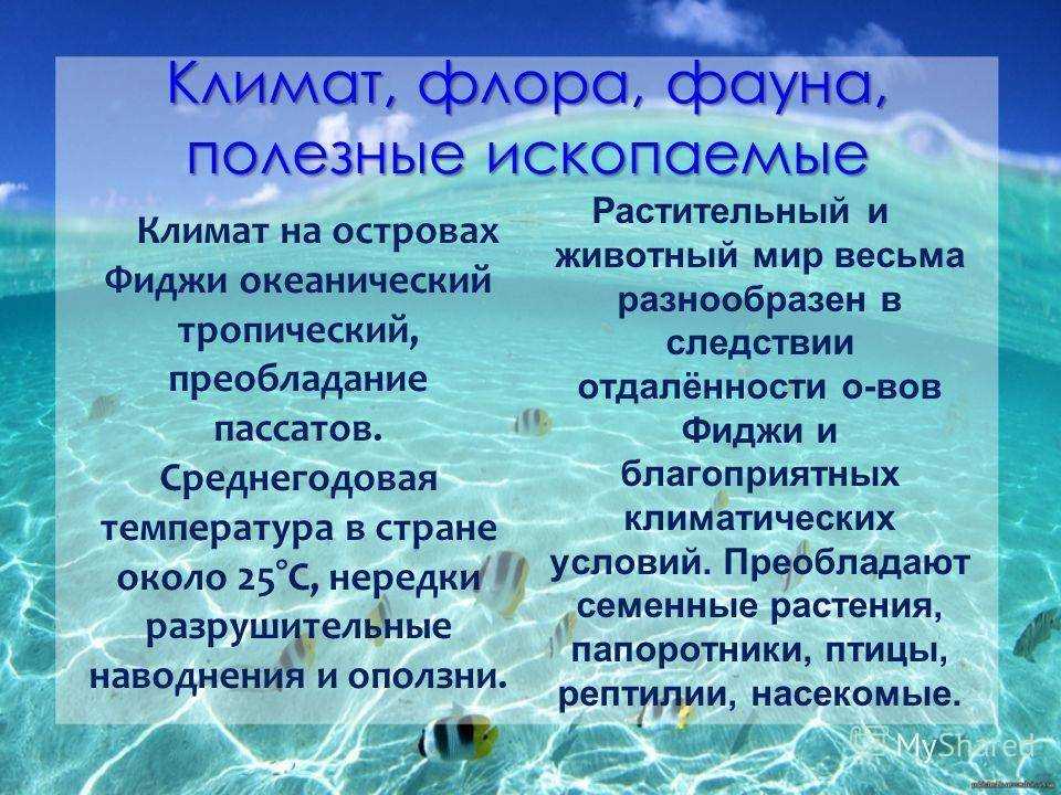 Особенности географического положения антарктиды (география, 7 класс)