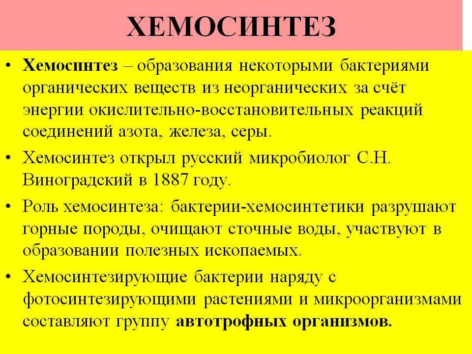 Хемосинтез: просто и понятно о его реакциях и значении в природе