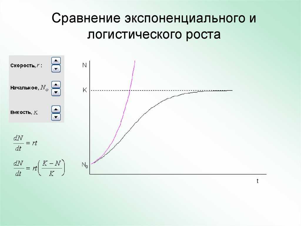 Моделирование экспоненциального роста