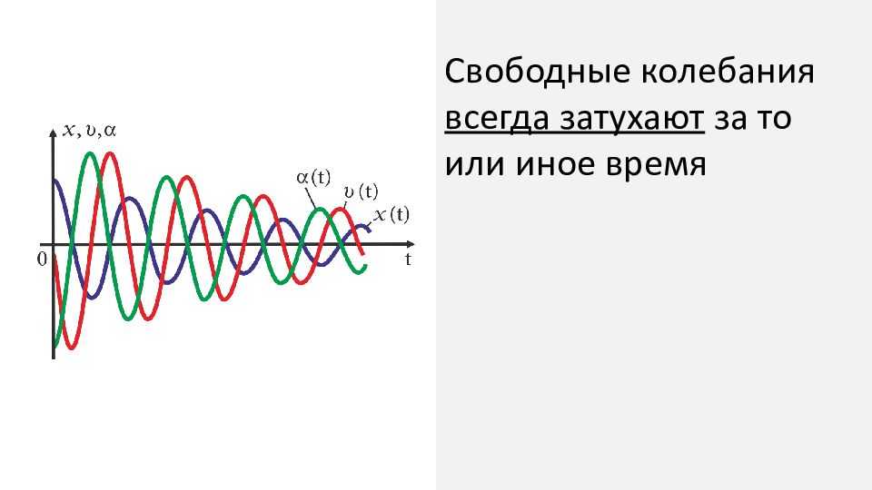 Физика. 11 класс