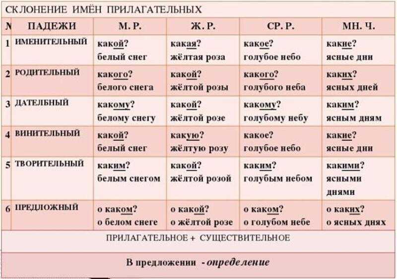 § 6. морфология и орфография. морфологический разбор слова. русский язык. 7 класс. учебник