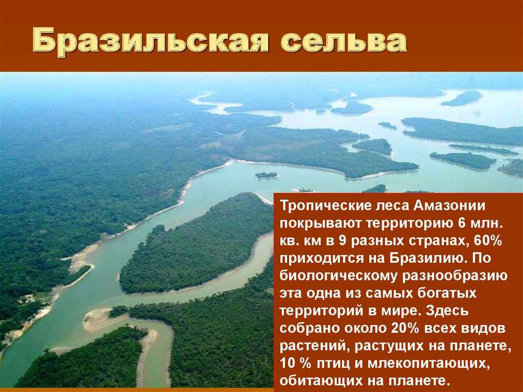 Природные ресурсы бразилии