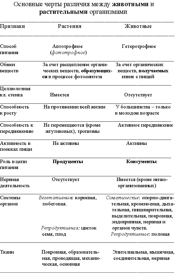 Растения и животные: сходства и различия