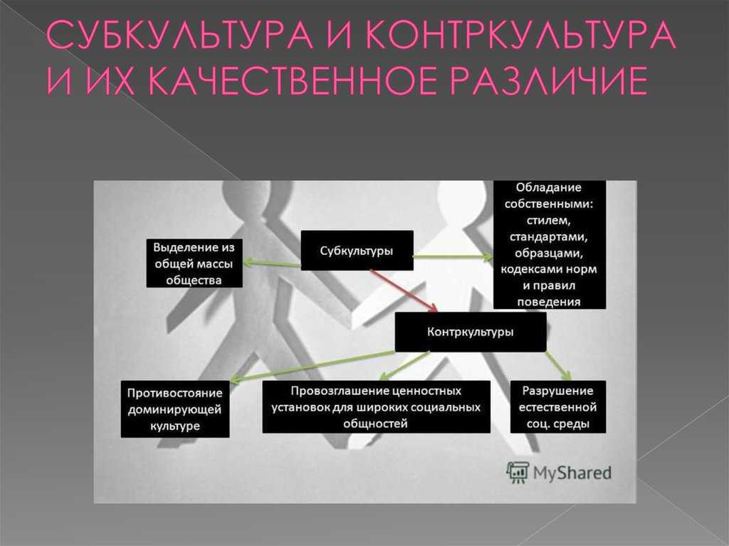 Презентация на тему: "субкультура и контркультура: сходства и различия. подготовила: кнурова к.д. проверил: макаров а.н.". скачать бесплатно и без регистрации.