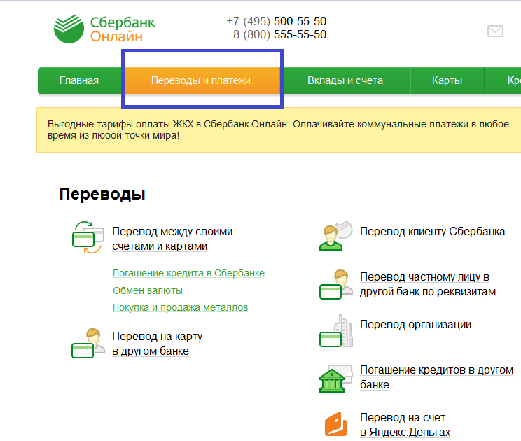 Проверка остатка денег на карте школьного питания через интернет