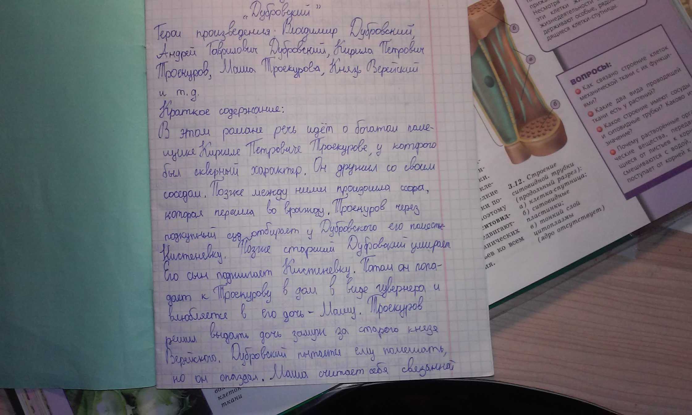 Месть и великодушие в произведении а. с. пушкина «дубровский»