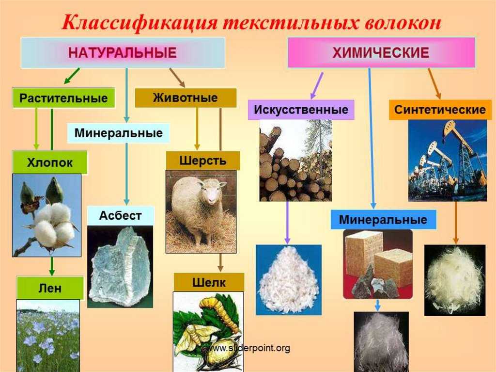 Хлопок: особенности производства хлопчатобумажных материалов, их преимущества и свойства | www.podushka.net