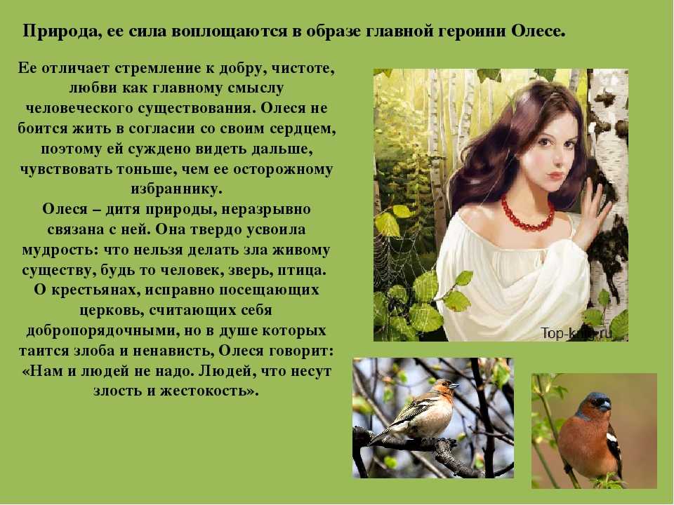 Сочинение любовь в повести олеся куприна